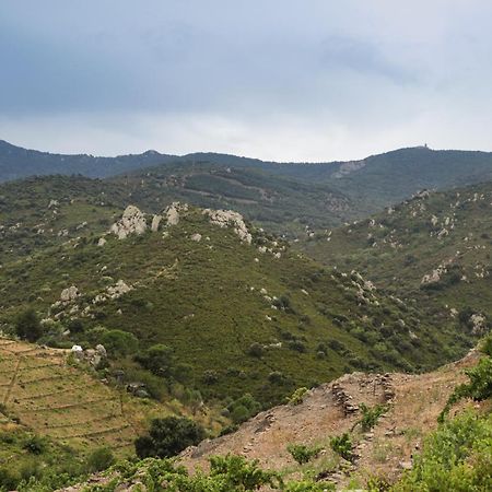 Gite Rez De Chaussee Entre Mer Et Montagne كولِيورْ المظهر الخارجي الصورة