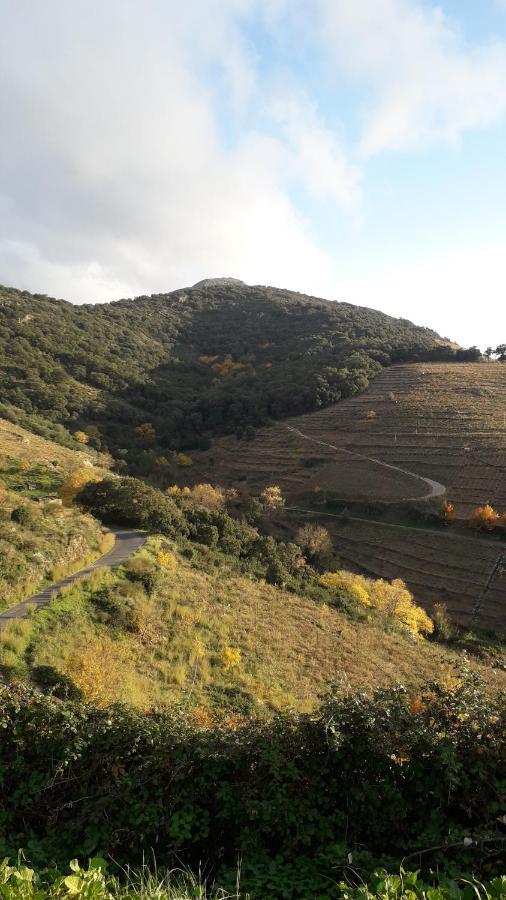 Gite Rez De Chaussee Entre Mer Et Montagne كولِيورْ المظهر الخارجي الصورة