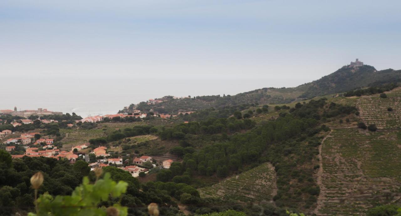 Gite Rez De Chaussee Entre Mer Et Montagne كولِيورْ المظهر الخارجي الصورة