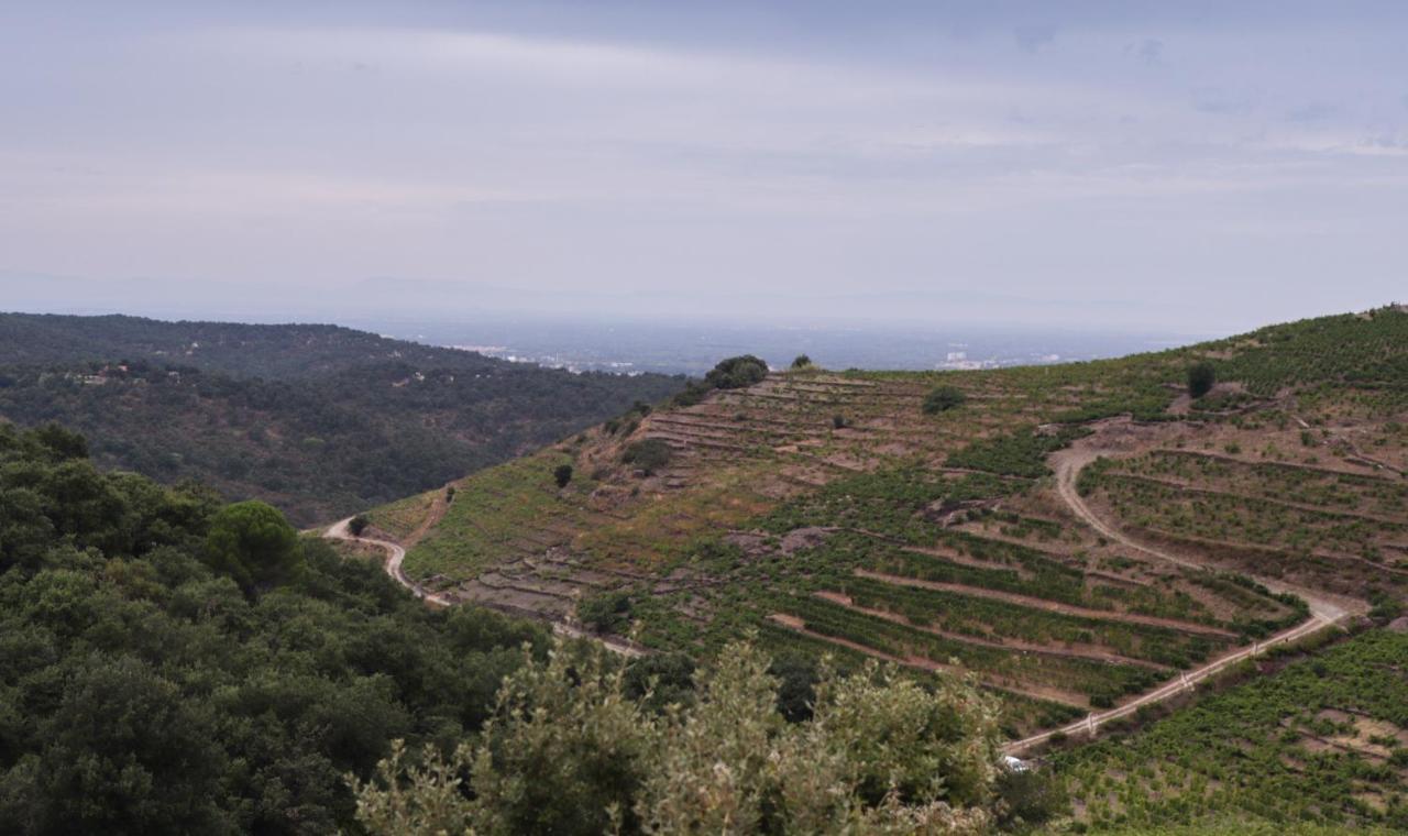 Gite Rez De Chaussee Entre Mer Et Montagne كولِيورْ المظهر الخارجي الصورة