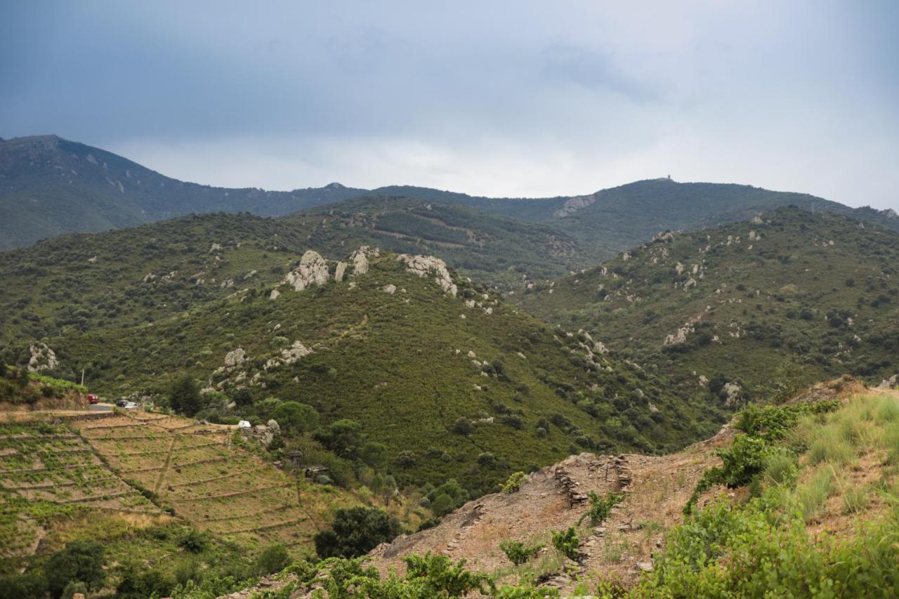 Gite Rez De Chaussee Entre Mer Et Montagne كولِيورْ المظهر الخارجي الصورة