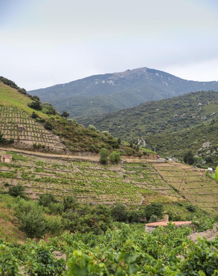 Gite Rez De Chaussee Entre Mer Et Montagne كولِيورْ المظهر الخارجي الصورة